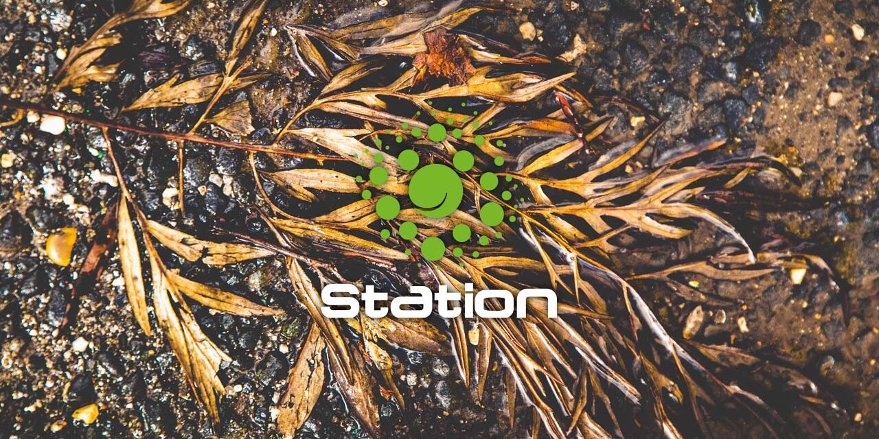 News - Station - Quick Road