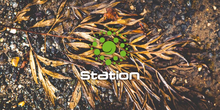 News - Station - Quick Road